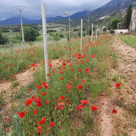 Location L'epi D'or Calvi, Demeure De Charme Calvi (Corsica)