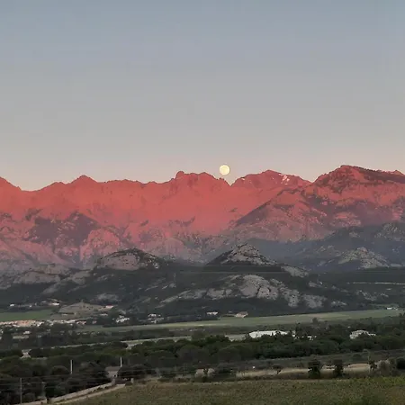 Location L'epi D'or Calvi, Demeure De Charme Апартаменты Кальви