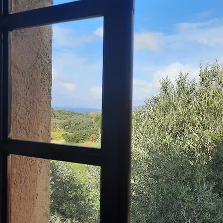 Location L'epi D'or Calvi, Demeure De Charme * Calvi (Corsica)