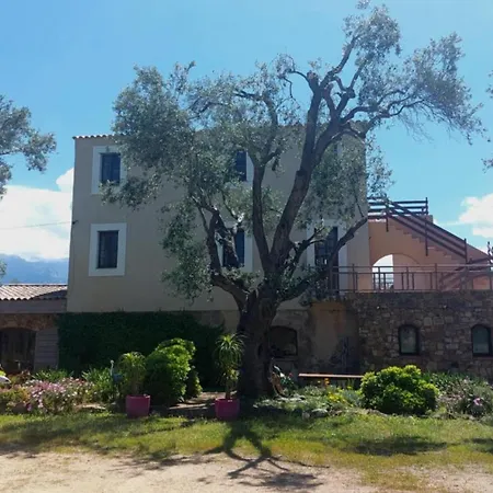 Location L'epi D'or Calvi, Demeure De Charme Apartament *