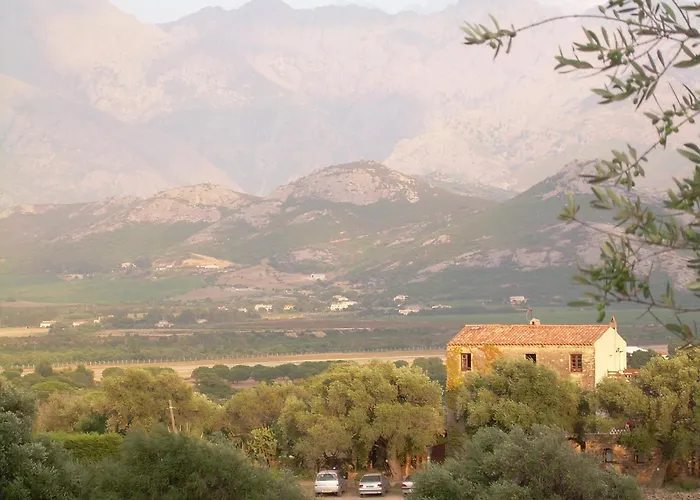 Apartment Location L'epi D'or Calvi, Demeure De Charme Calvi (Corsica)