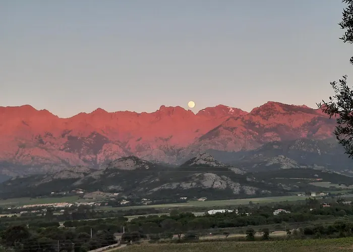 Location L'epi D'or Calvi, Demeure De Charme Apartment Calvi (Corsica)