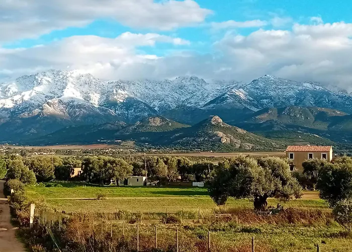 Apartment Location L'epi D'or Calvi, Demeure De Charme Calvi (Corsica)